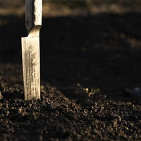 土に突き刺さった包丁の不気味な風景～刃物のホラーの写真