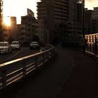夕日の街を行きかう人と車が交差する歩道と車道の写真