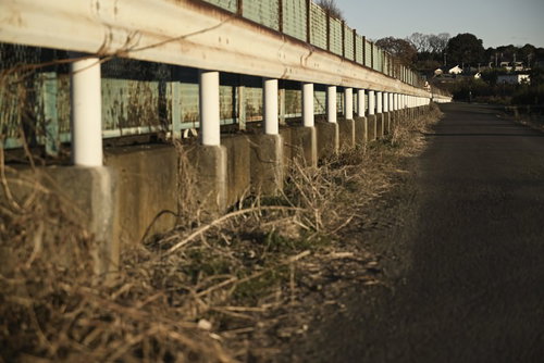 夕暮れの用水路沿いのガードレールと歩道の風景