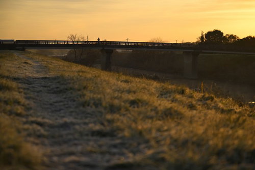 朝焼けの橋の上から眺める人のシルエット