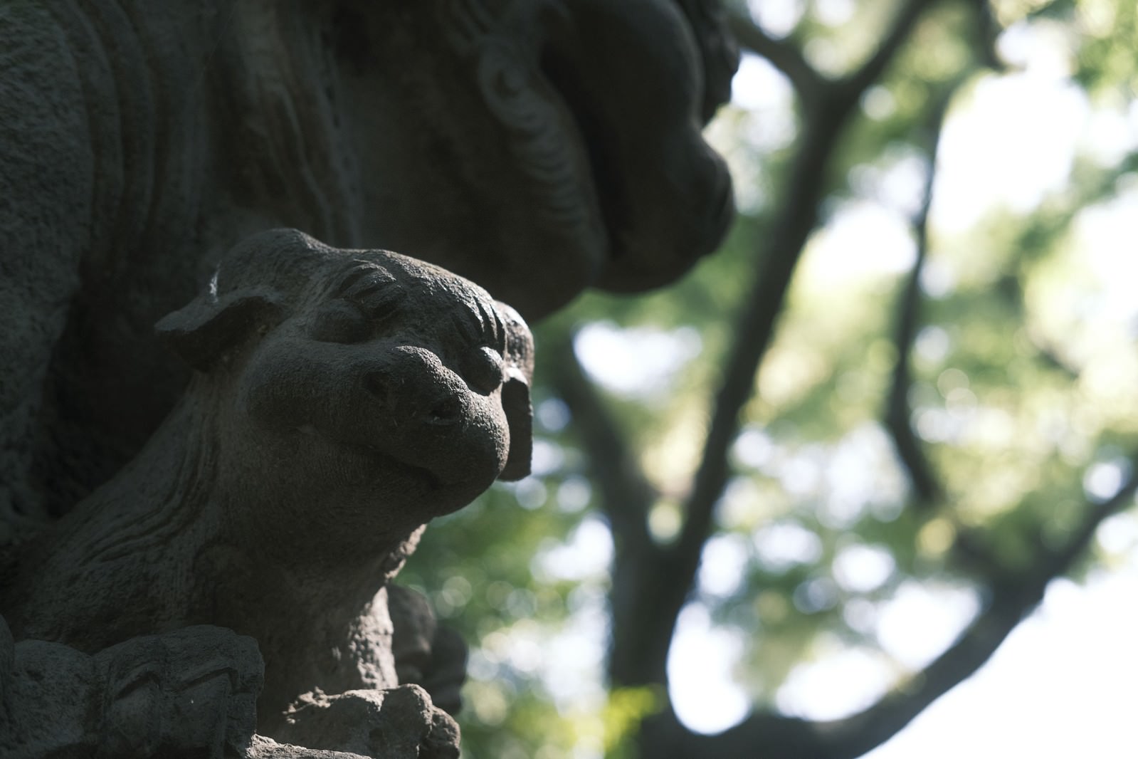 境内に置かれた石造りの狛犬、優しい表情で見つめている