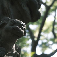 話しかけるような表情の狛犬、境内に鎮座する石造りの写真