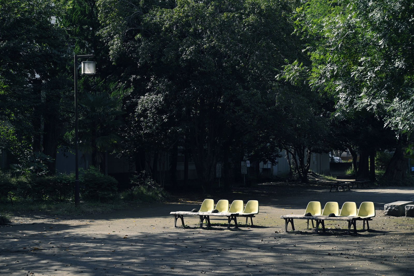 木陰に置かれた黄色いベンチが並ぶ静かな昼の公園風景