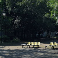 誰もいない昼の公園に並ぶ黄色いベンチ。木々に囲まれた休憩スペースの写真
