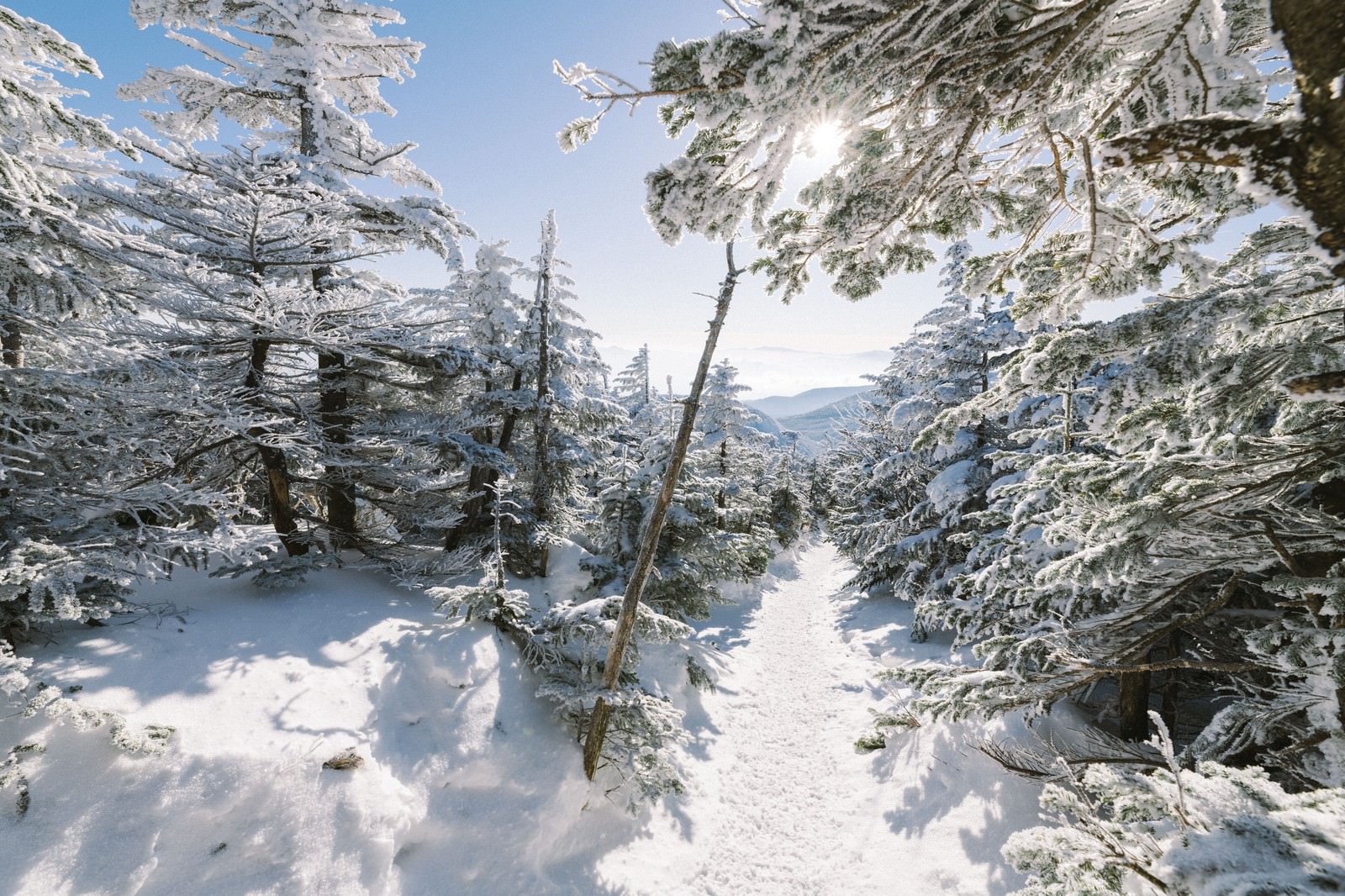 雪が積もった冬の登山道