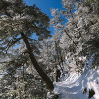 雪化粧した登山道を歩く複数の登山者たちの冬山風景の写真