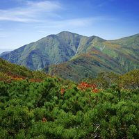 ハイマツ帯の奥に見える日本百名山の大朝日岳の写真
