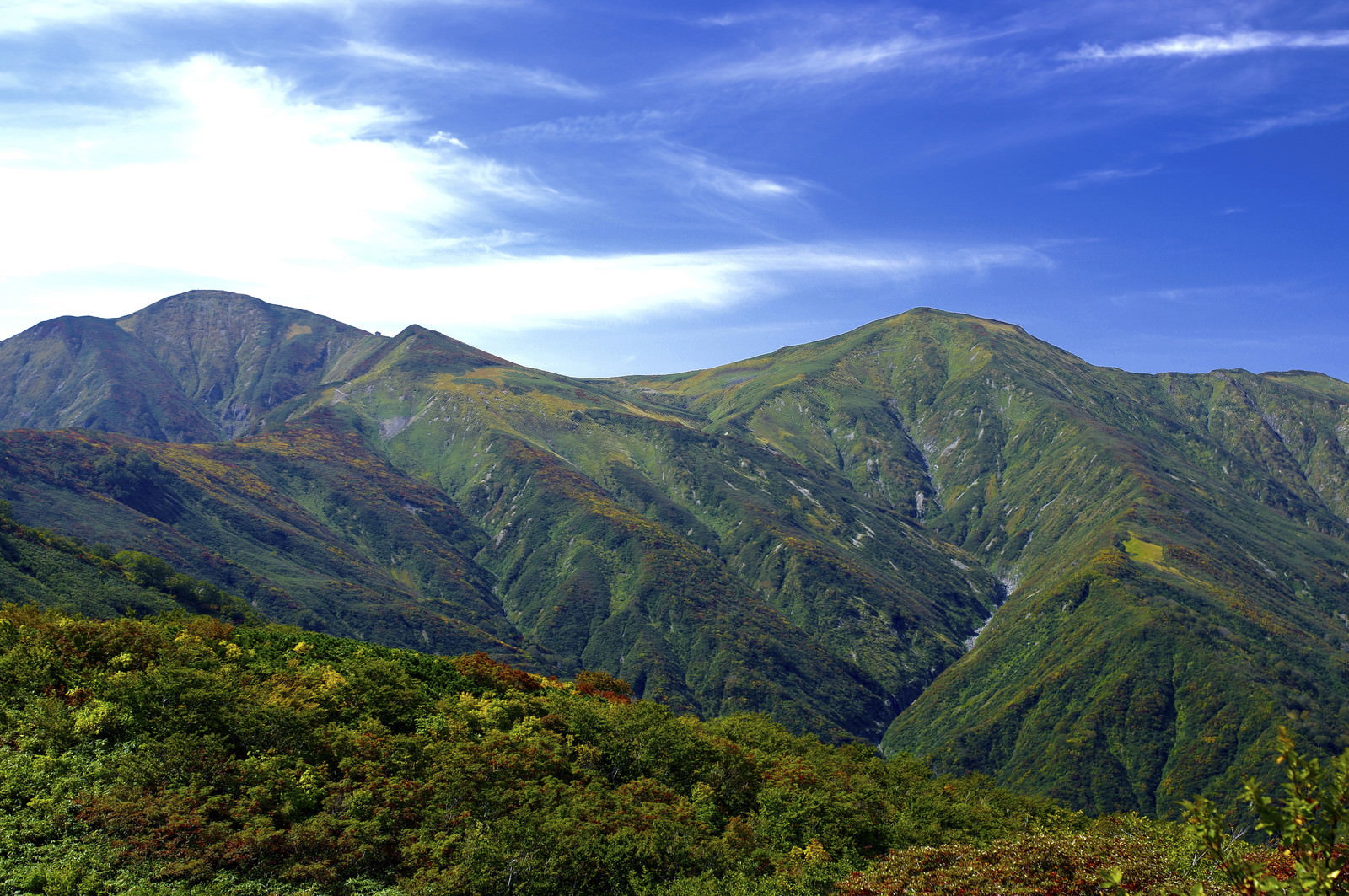 大朝日岳山頂と西朝日岳の緑豊かな山々と青空