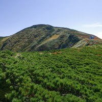 大朝日岳の稜線、ハイマツに覆われた山岳風景の写真