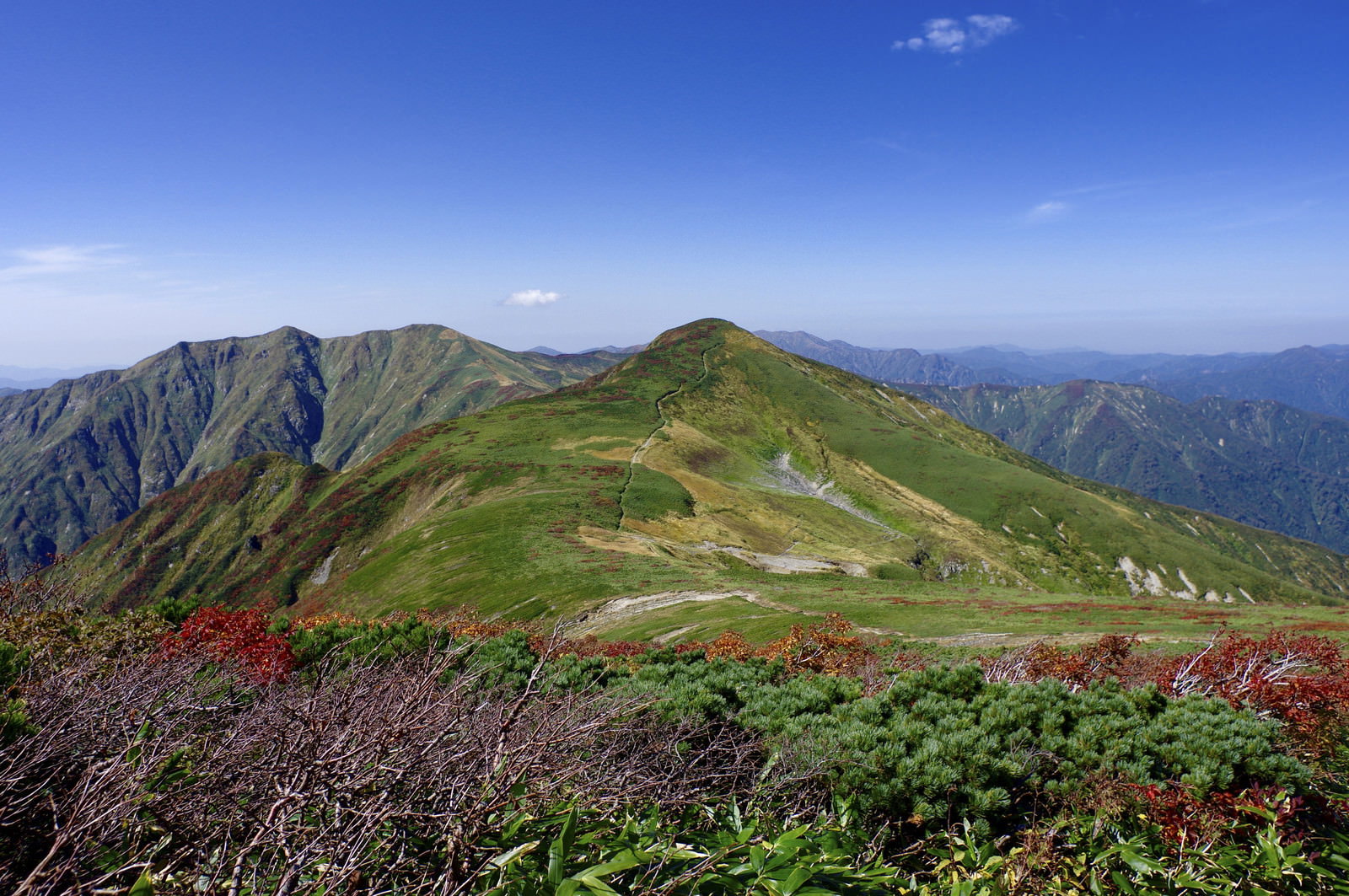 青空の下、緑の稜線上に建つ大朝日岳避難小屋と背後の山々