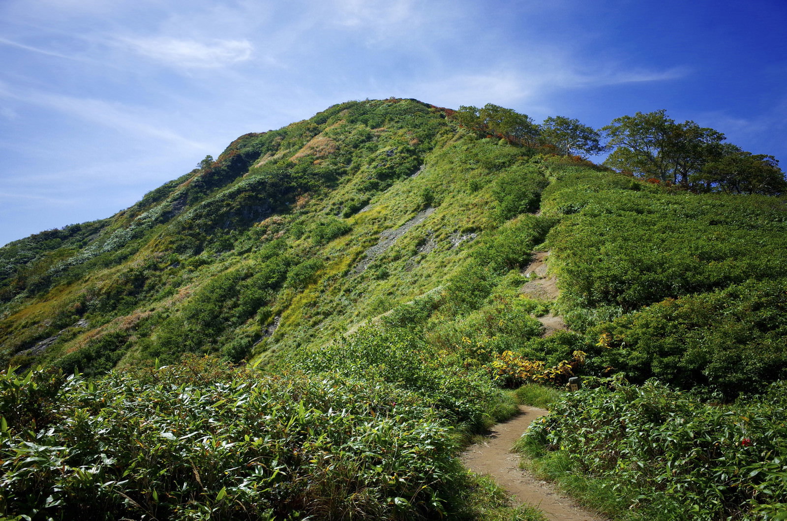 青空の下、緑豊かな小朝日岳山頂へ続く登山道の風景