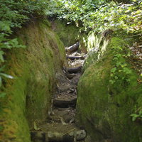 苔むした岩壁に挟まれた古寺鉱泉ルートの石段（大朝日岳）の写真