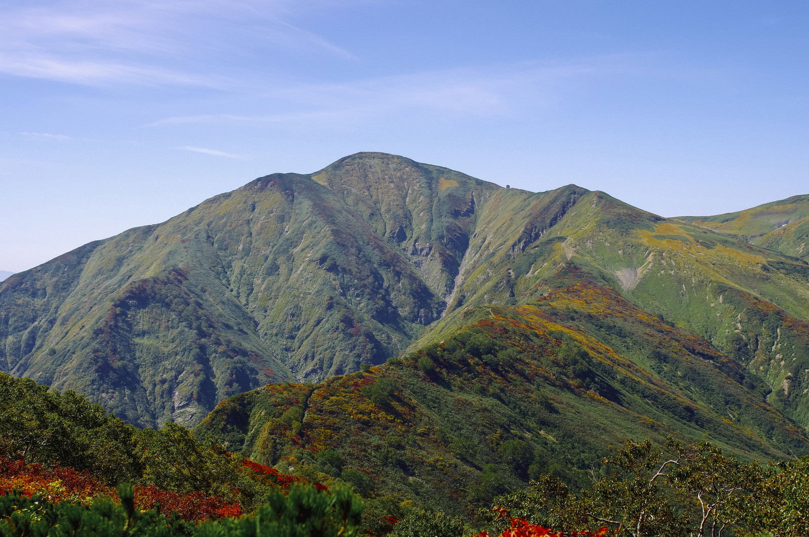 緑豊かな山々が連なる大朝日岳の稜線風景