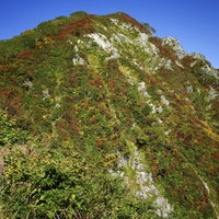 紅葉に染まる小朝日岳を見上げる大朝日岳からの眺望の写真