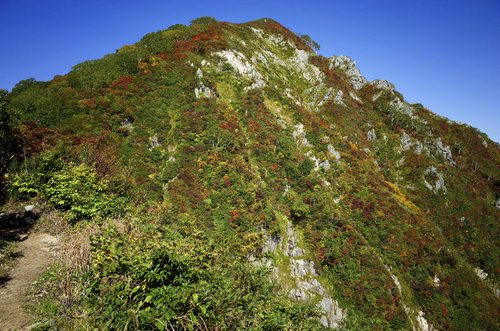 紅葉に染まる小朝日岳を見上げる大朝日岳からの眺望