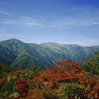 紅葉の朝日連峰（大朝日岳）の写真