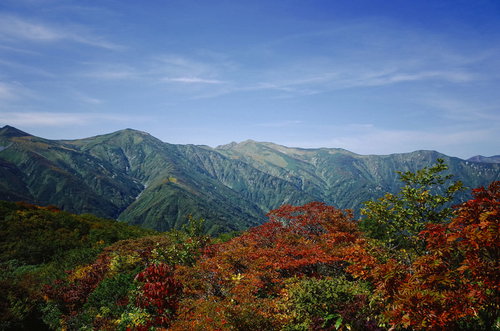 紅葉の朝日連峰（大朝日岳）