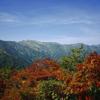 長大な稜線が続く朝日連峰（大朝日岳）の紅葉の写真