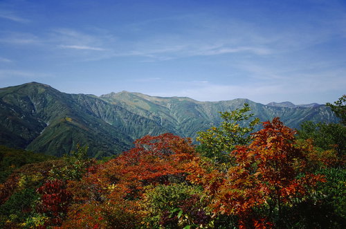 長大な稜線が続く朝日連峰（大朝日岳）の紅葉