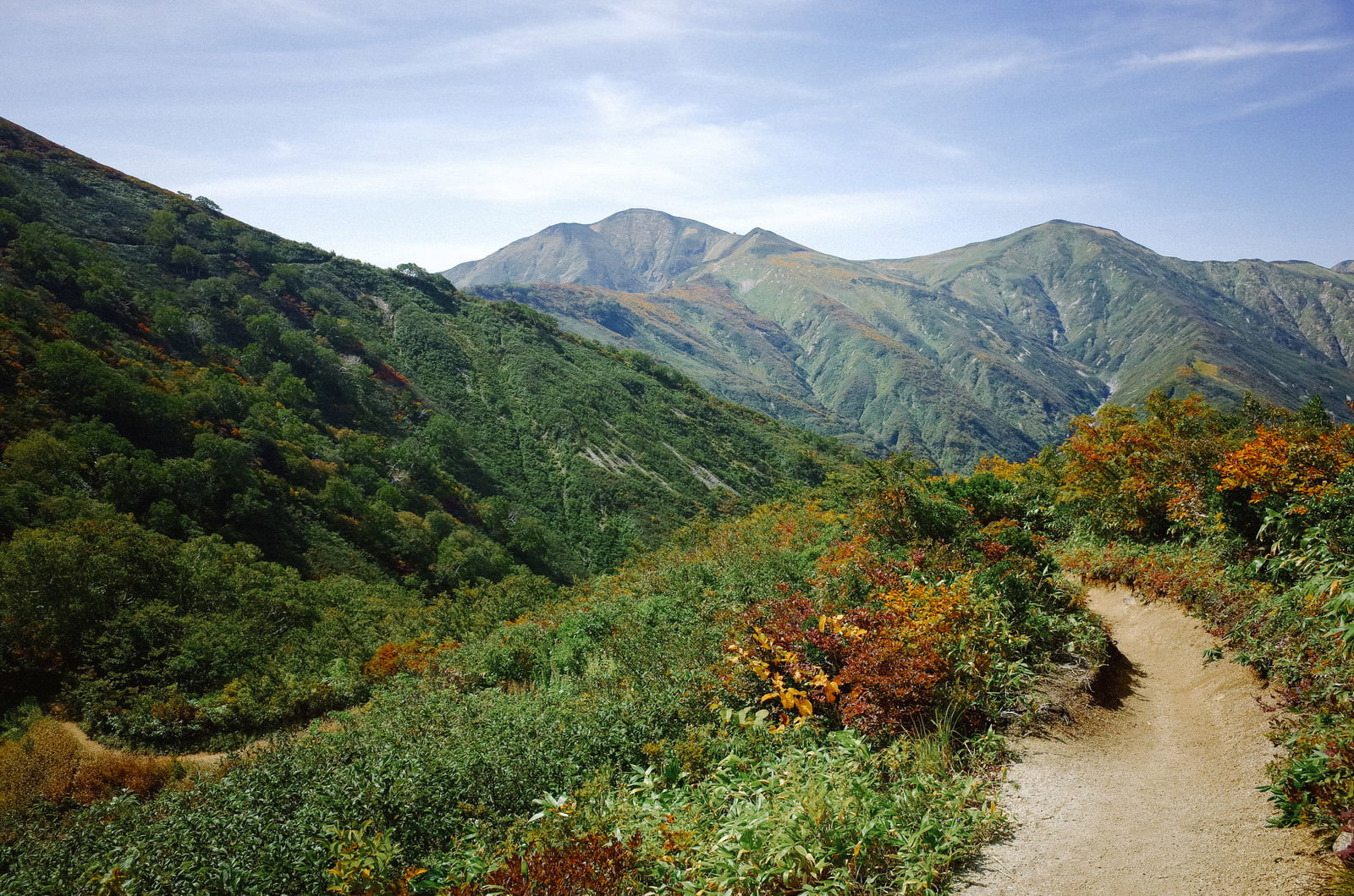 大朝日岳登山道から見える緑豊かな山々の連なる稜線風景