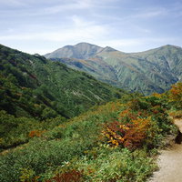 開けた道から見える大朝日岳登山道の山並みの写真