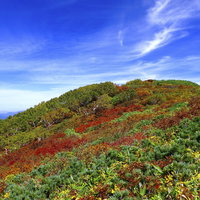 青空と紅葉に彩られた日本百名山・大朝日岳の登山道の写真