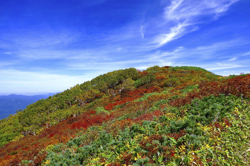 青空と紅葉に彩られた日本百名山・大朝日岳の登山道