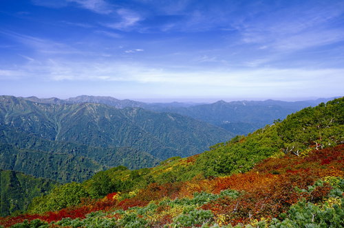 秋の朝日連峰、黄葉に染まる大朝日岳の山肌と山々