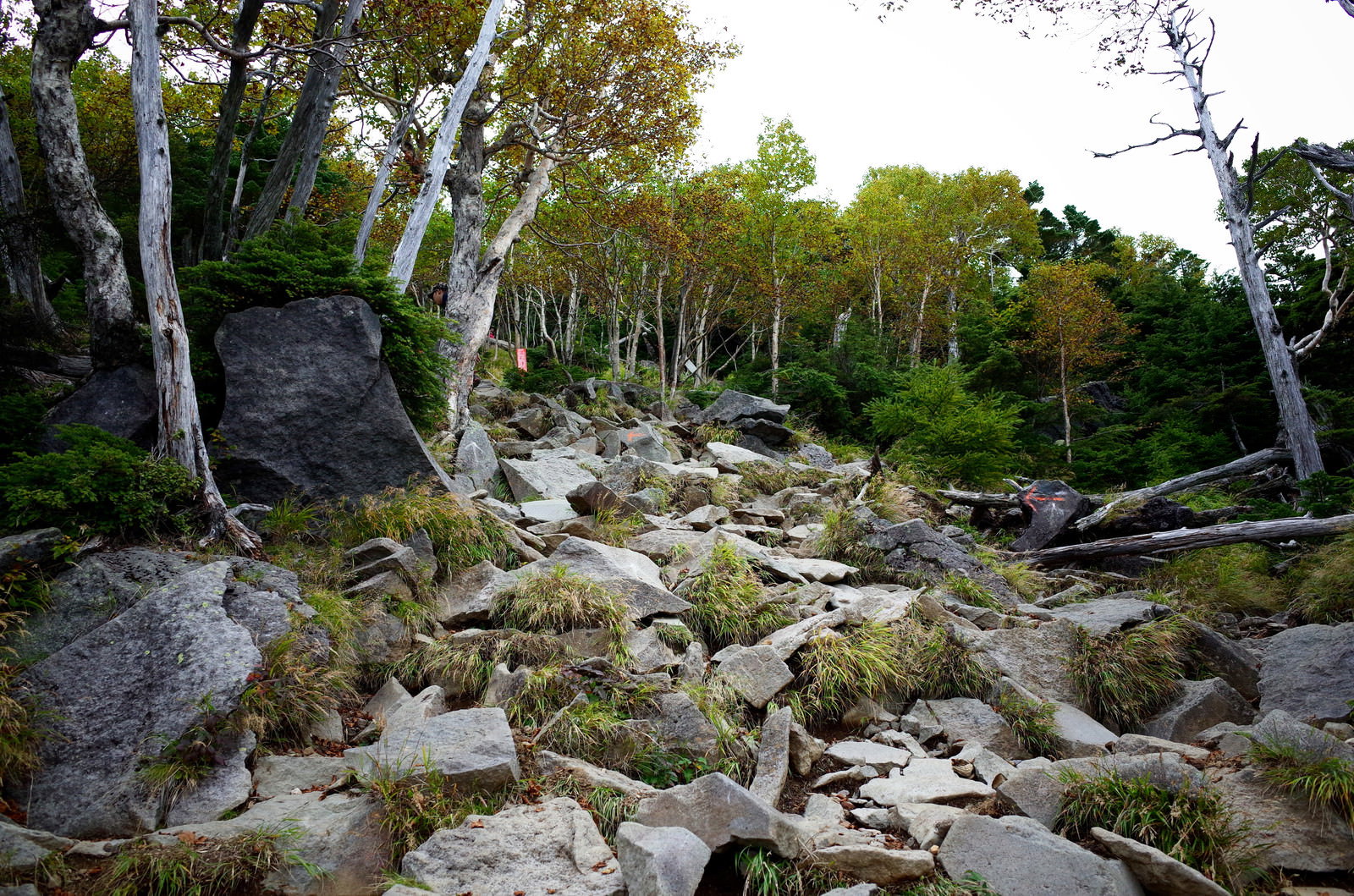 男体山の岩場登山道
