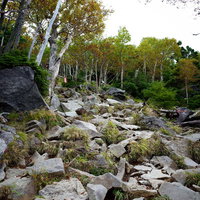 ゴツゴツした岩場を登る男体山の登山道の写真