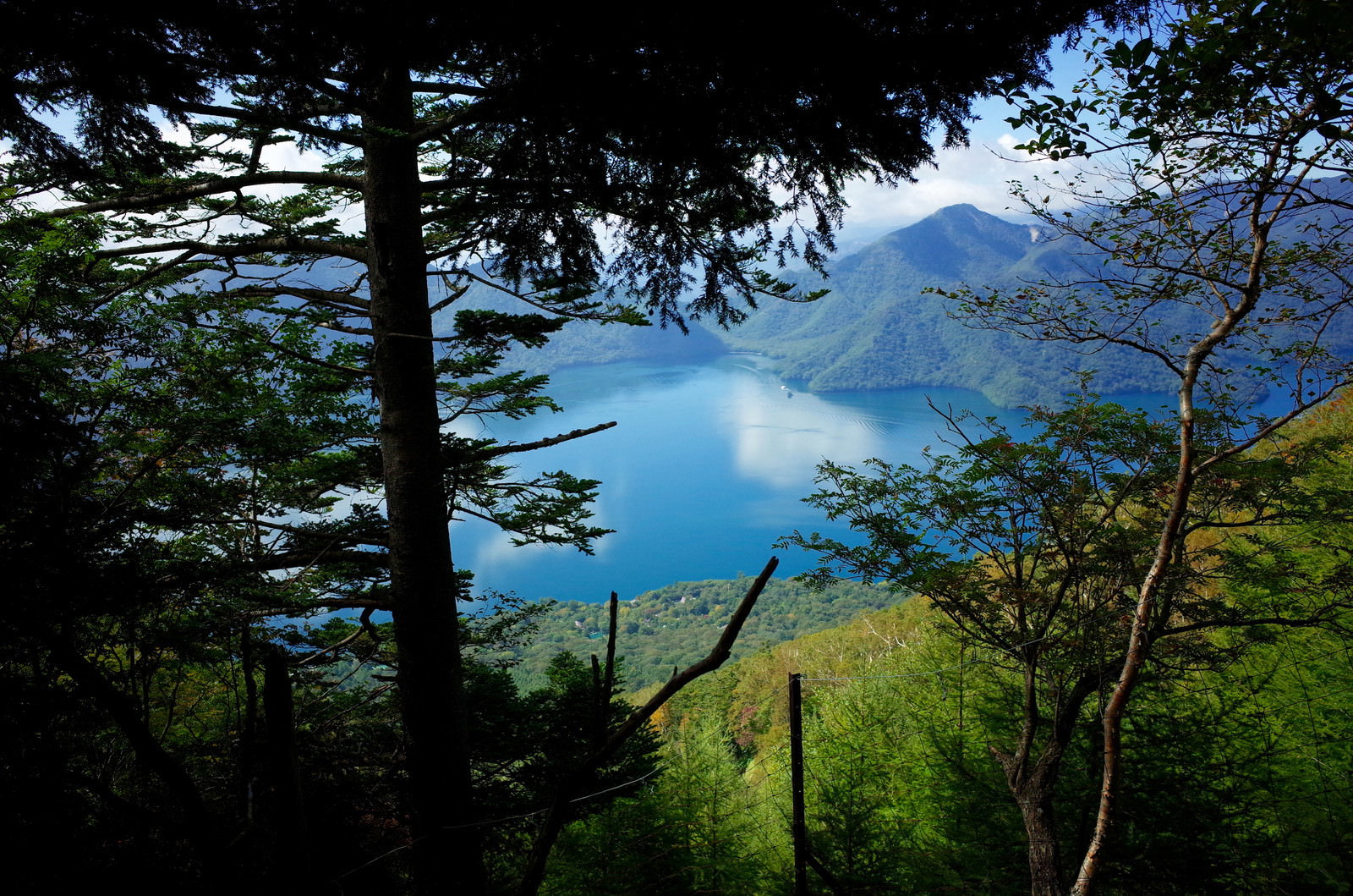男体山登山道から木々の間に見える中禅寺湖と山々の風景