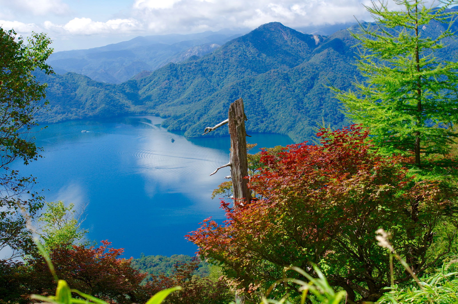 紅葉した木々の向こうに中禅寺湖と男体山が見える秋の風景