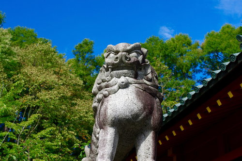 二荒山神社の狛犬と男体山を仰ぐ境内の参道風景