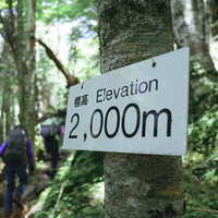 聖岳の標高2000m地点、森の中の登山標識の写真