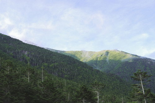 聖平から見る南アルプス南部の壮大な稜線（聖岳）