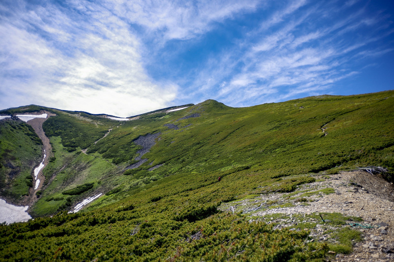青空の下、緑のハイマツ帯が広がる山の斜面を登山道が続いている風景