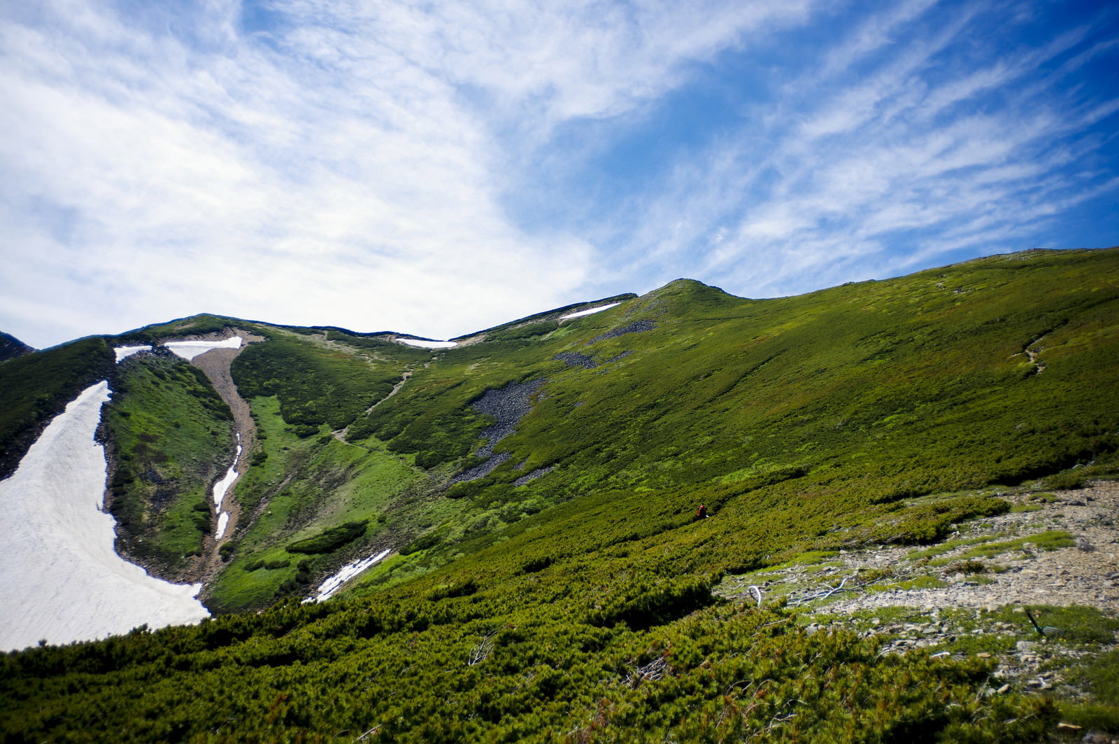 常念岳のハイマツ帯が広がる表銀座登山道と青空