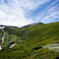 日本百名山・常念岳のハイマツ帯が広がる表銀座登山道の写真