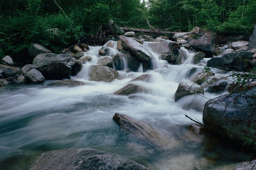 常念岳の麓を流れる一ノ沢の渓流、日本百名山を代表する清流