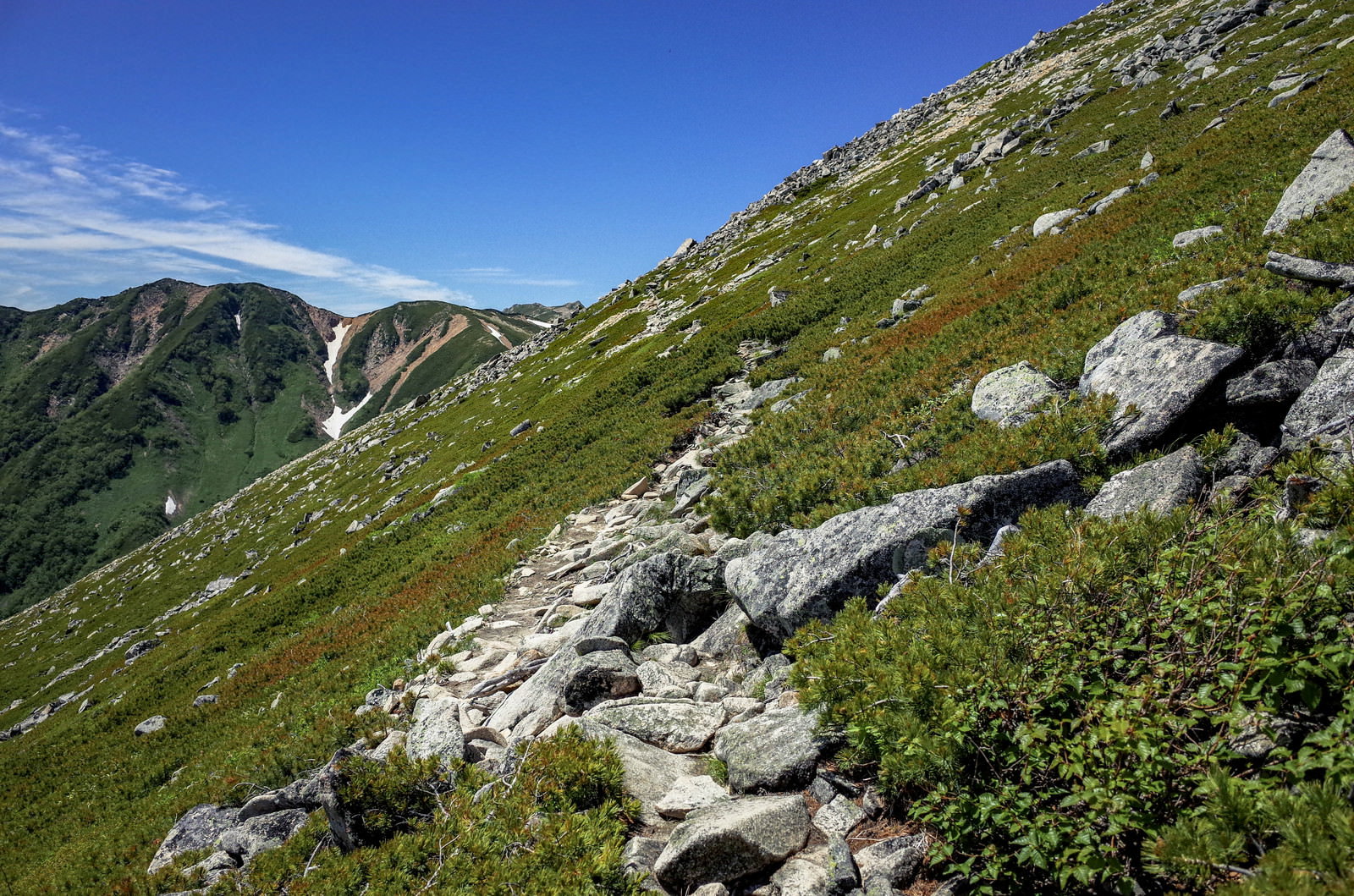青空の下、岩場と高山植物が混在する常念岳から大天井岳への登山道