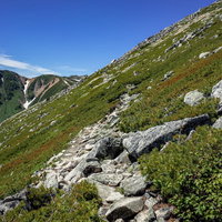 常念岳から大天井岳へと向かう登山道の写真