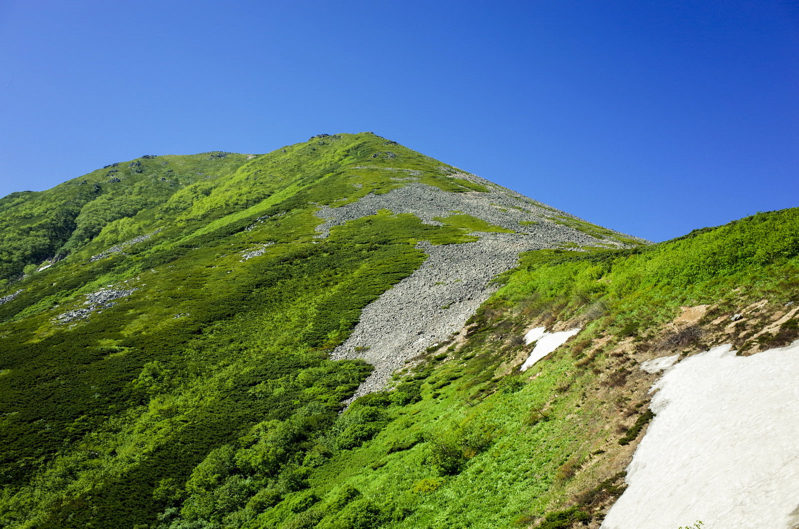 青空の下、緑の山肌に白い登山道が見える常念岳の稜線