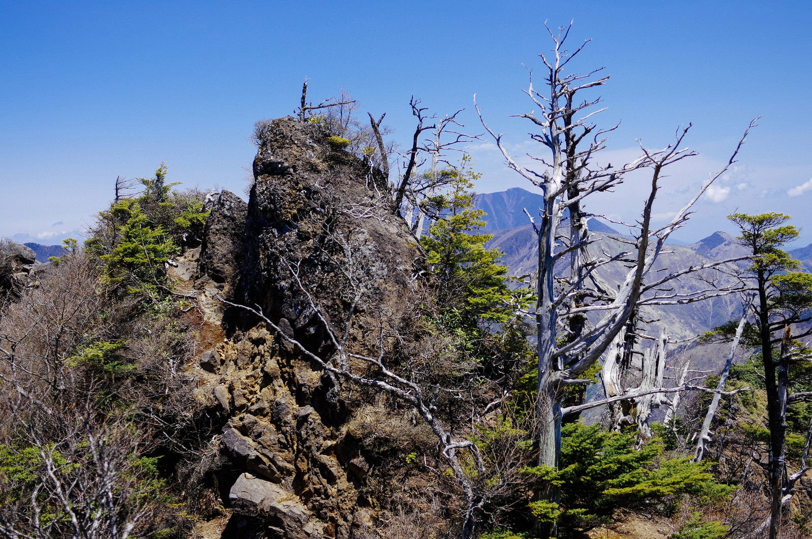 皇海山の険しい岩場に立つ枯れ木と青空の山岳風景