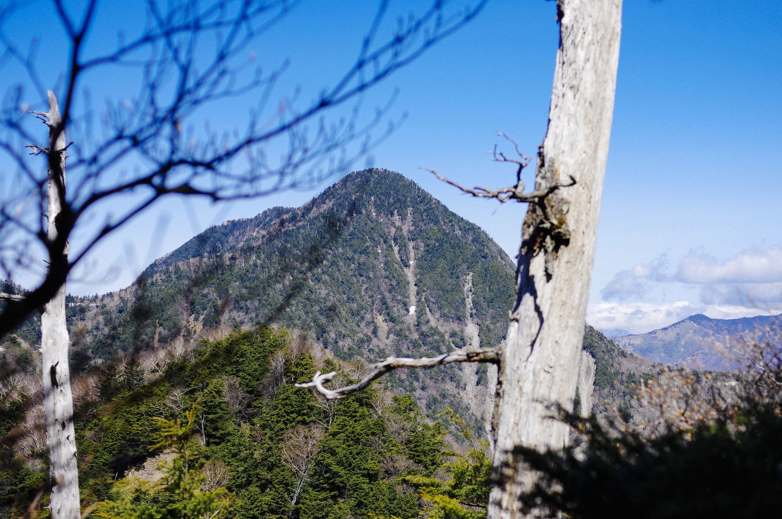 庚申山の登山道から青空をバックに見上げる皇海山の山容