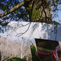 文字が消えた登山道案内板、皇海山の日本百名山登山道の写真