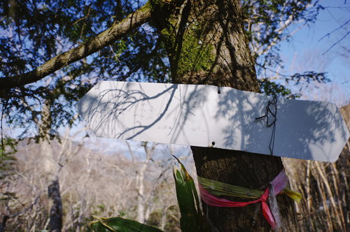 文字が消えた登山道案内板、皇海山の日本百名山登山道