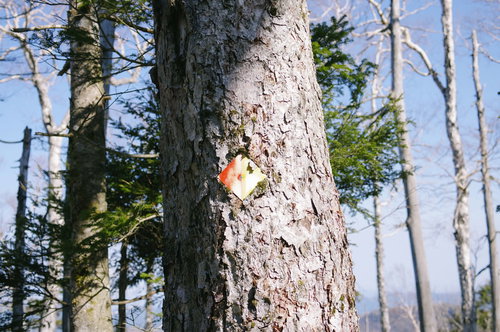 日本百名山・皇海山の登山道を示す木肌の案内板
