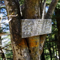 皇海山クラシックルート上で登山道を示す木製の案内板の写真