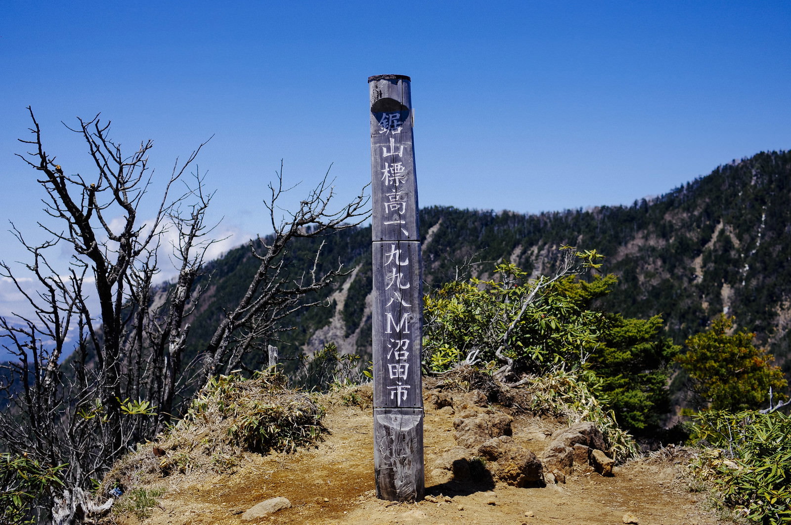 青空の下、鋸山の山頂に立つ木製の山頂碑と周囲の岩場