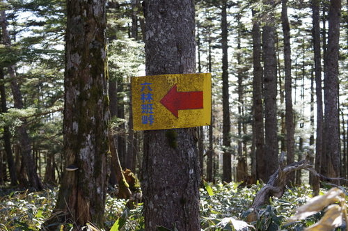 皇海山登山者を絶望の淵に追いやる六林班峠の指導標案内板